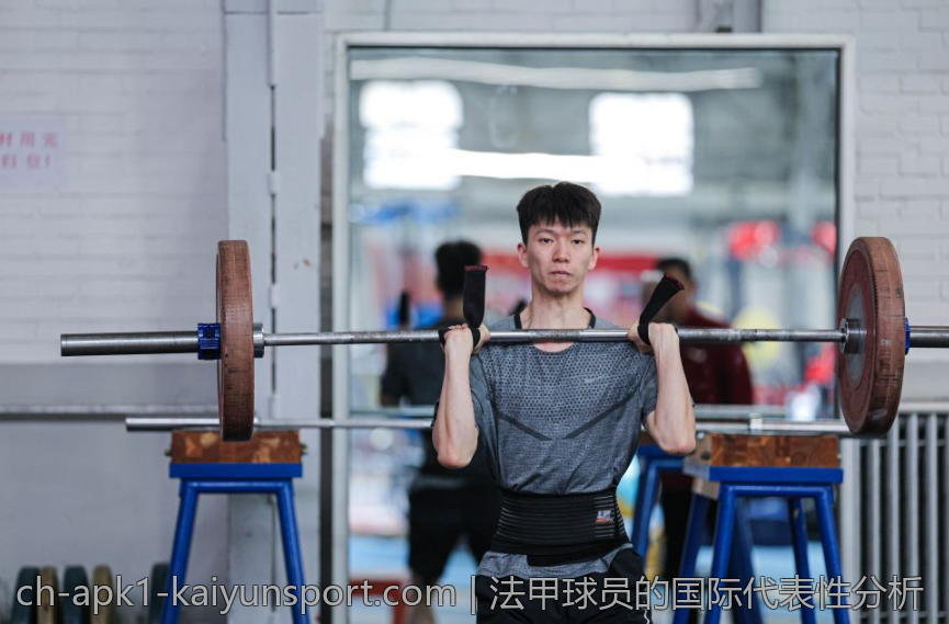 法甲球员的国际代表性分析